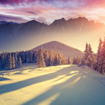 Хороскоп за сряда 25 февруари 2026 г.