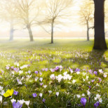 Хороскоп за сряда 4 март 2026 г.