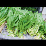 Растение, което пречиства кръвта и укрепва тялото: Расте в нашите гори, бере се през март и е истинска хранителна бомба