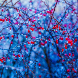 Седмичен хороскоп за периода от 23 февруари до 1 март 2026 г.