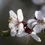 Подробен месечен хороскоп – март 2026: