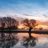 Хороскоп за днес 8 февруари 2026 г.