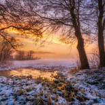 Хороскоп за петък, 20 февруари 2026 г.