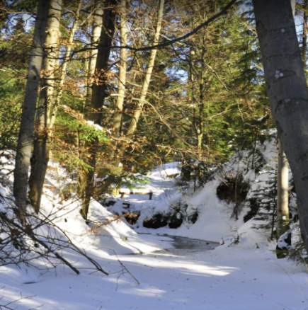 Седмичен хороскоп за периода от 23 февруари до 1 март