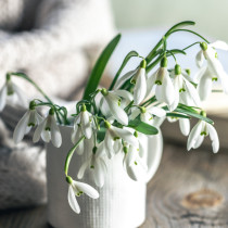 Март 2026 ще разтърси живота ни: Голямата астропрогноза за всички зодии