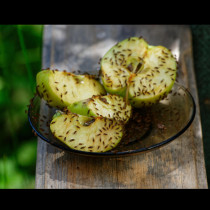 Те се появяват и посред зима, размножавайки се с невероятна скорост: Как да прогоним плодните мушици от дома завинаги?