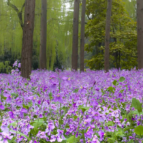 Хороскоп за петък 27 февруари 2026 г.