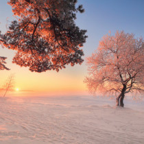 Хороскоп за 6 февруари 2026 г.