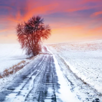 Хороскоп за 24 февруари 2026 г.: Ден на важни решения и нова посока за всички зодии