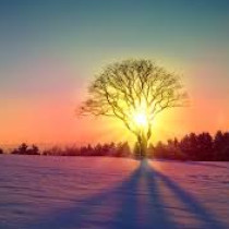 Хороскоп за 4 февруари 2026 г.