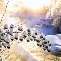 Хороскоп за четвъртък 12 февруари 2026 г.