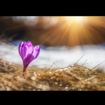 Хороскопът за 23 февруари: ОВЕНЪТ ще получи много любов, ДЕВАТА ще се види в пари вечерта