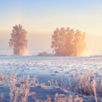 Хороскоп за четвъртък 26 февруари 2026 г.