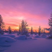 Хороскоп за петък 13 февруари 2026 г.