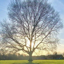 Хороскоп за понеделник 2 март 2026 г.