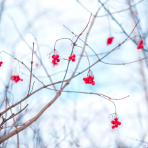 Дневен хороскоп за 28 февруари 2026 г.