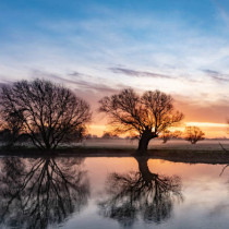 Хороскоп за днес 8 февруари 2026 г.