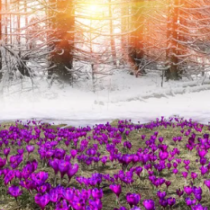 Хороскоп за вторник 3 март 2026 г.