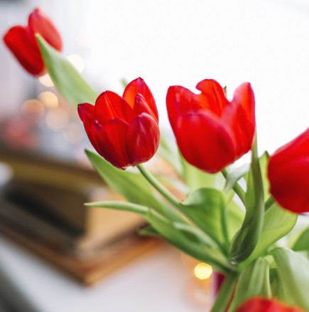 ПЪЛНИЯТ седмичен хороскоп от 2 до 8 март 2026 –