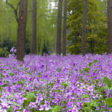 Хороскоп за петък 27 февруари 2026 г.
