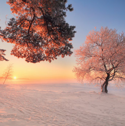 Хороскоп за 6 февруари 2026 г.