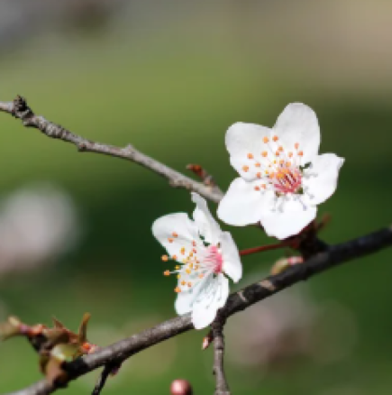 Хороскоп за седмицата от 2 до 8 март 2026 г.