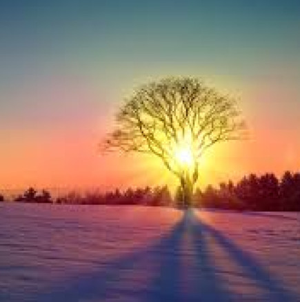 Хороскоп за 4 февруари 2026 г.