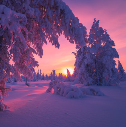 Дневен хороскоп за утре, 9 февруари 2026 г.