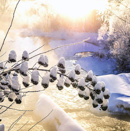 Хороскоп за четвъртък 12 февруари 2026 г.