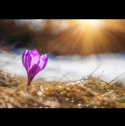 Хороскопът за 23 февруари: ОВЕНЪТ ще получи много любов, ДЕВАТА ще се види в пари вечерта