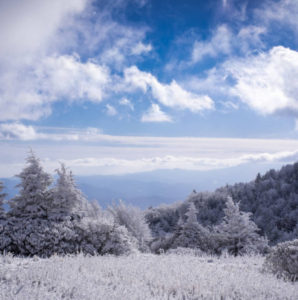 Хороскоп за вторник 10 февруари 2026 г.
