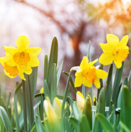 ОВЕН, Финансовите въпроси изискват повече внимание. БЛИЗНАЦИ, интересни възможности - Дневен хороскоп за 15 февруари 2026