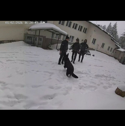 Сигнал за порнографски материали с деца, заснети в х.Петрохан, е постъпил в полицията: