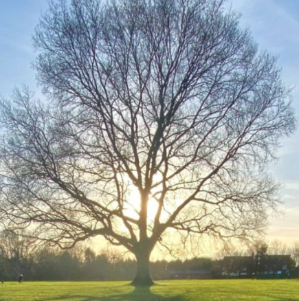 Хороскоп за понеделник 2 март 2026 г.