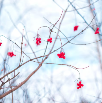 Дневен хороскоп за 28 февруари 2026 г.