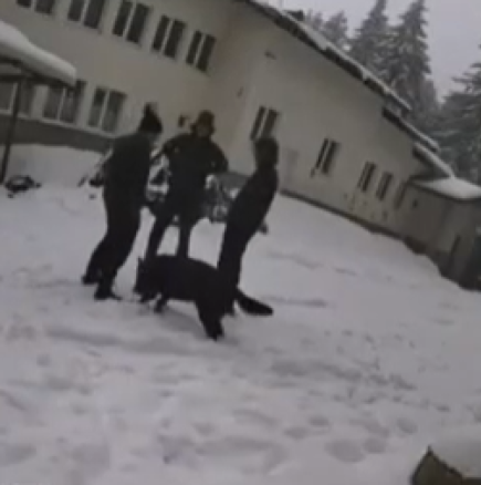 Ексклузивно видео от сбогуването на тримата разстреляни при хижа "Петрохан"