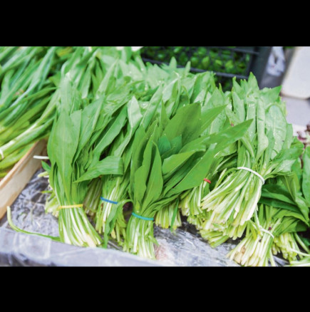 Растение, което пречиства кръвта и укрепва тялото: Расте в нашите гори, бере се през март и е истинска хранителна бомба