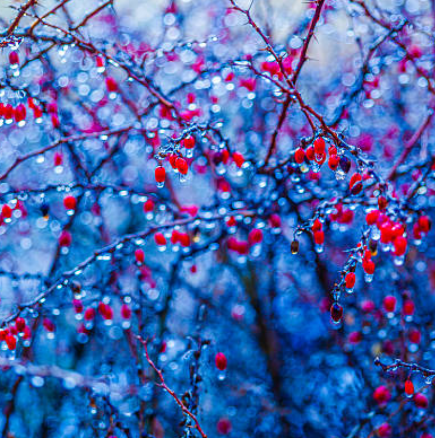 Седмичен хороскоп за периода от 23 февруари до 1 март 2026 г.