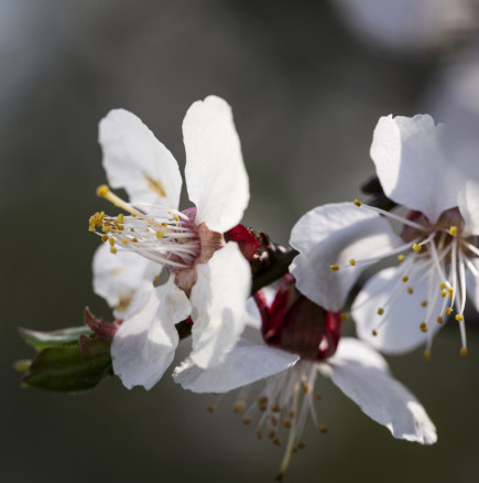 Подробен месечен хороскоп – март 2026: