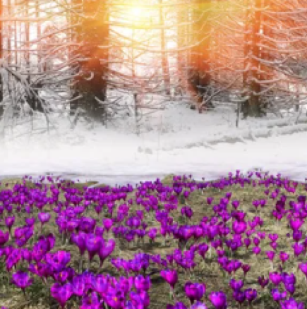 Хороскоп за вторник 3 март 2026 г.