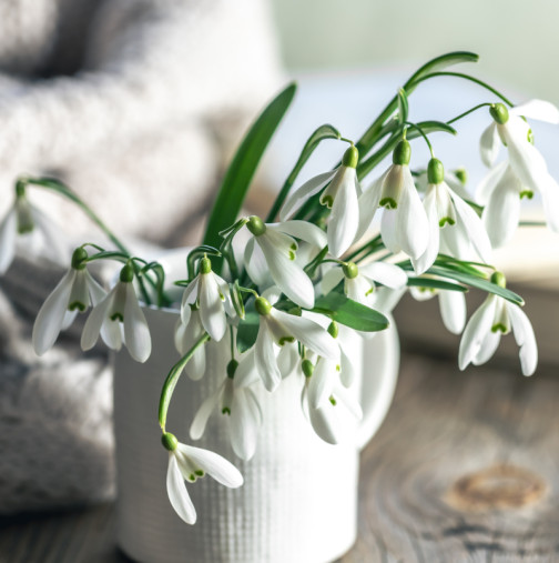 Март 2026 ще разтърси живота ни: Голямата астропрогноза за всички зодии