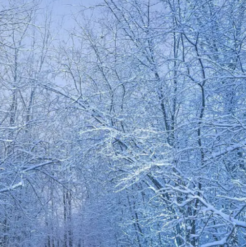 Хороскоп за днес, 23 февруари 2026 г.