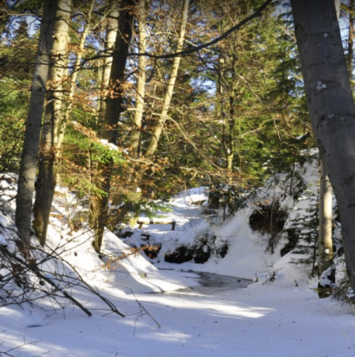 Седмичен хороскоп за периода от 23 февруари до 1 март