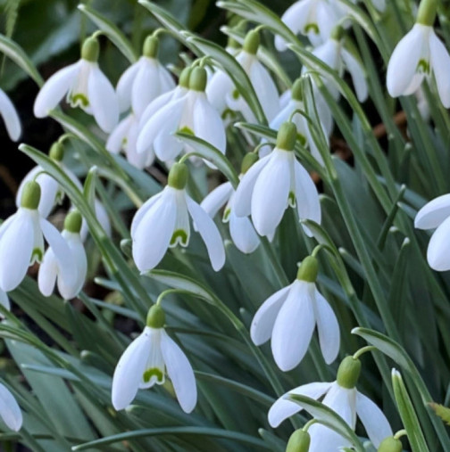 Седмичен хороскоп: Телецът ще бъде търпелив, Козирозите ще се чувстват отговорни