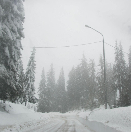 Дежурният синоптик Петър Янков: Снежната покривка ще достигне и до 20 см 