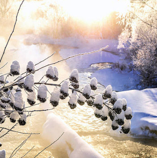 Хороскоп за четвъртък 12 февруари 2026 г.