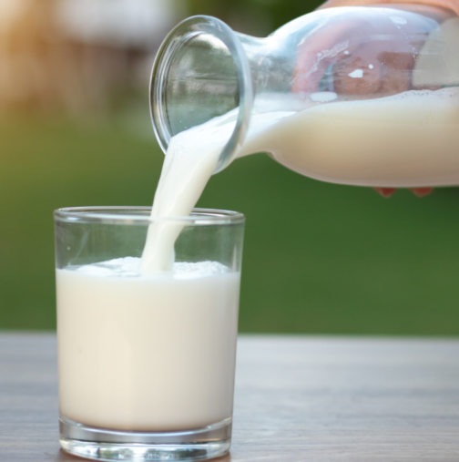 Този вид мляко понижава холестерола: Достатъчно е да се пие по една чаша на ден!