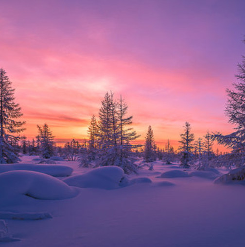 Хороскоп за петък 13 февруари 2026 г.