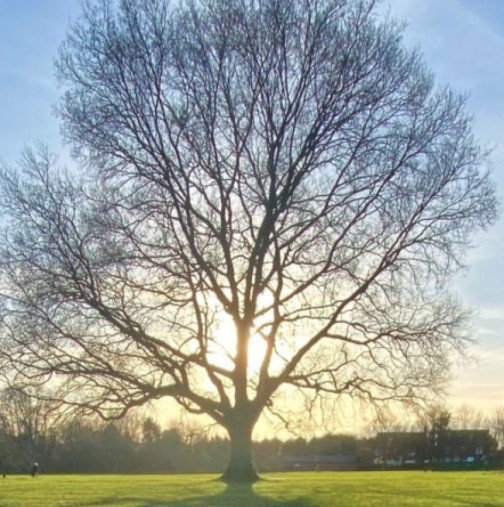 Хороскоп за понеделник 2 март 2026 г.