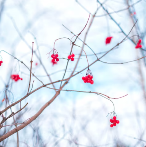 Дневен хороскоп за 28 февруари 2026 г.